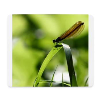 Weibliches Insekt des Calopteryx - Mousepad (Querformat) - Weiß - Vorne