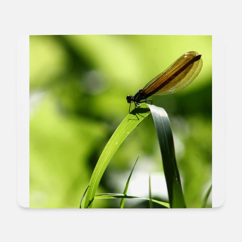 Weibliches Insekt des Calopteryx - Mousepad (Querformat) - Weiß
