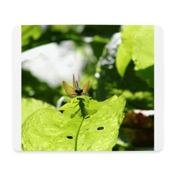 Calopteryx virgo beobachtet dich!! - Mousepad (Querformat) - Weiß - Vorne