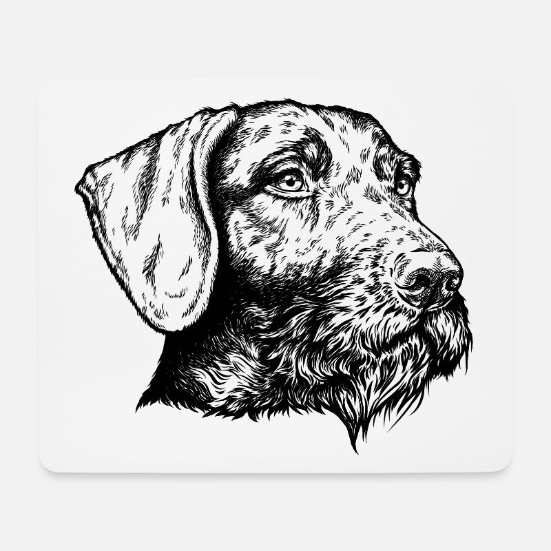 Deutsch Drahthaar Portrait - Mousepad (Querformat) - Weiß