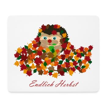 Enfin cadeau de dragon coloré hérisson automne - Tapis de souris (format paysage) - blanc - Devant
