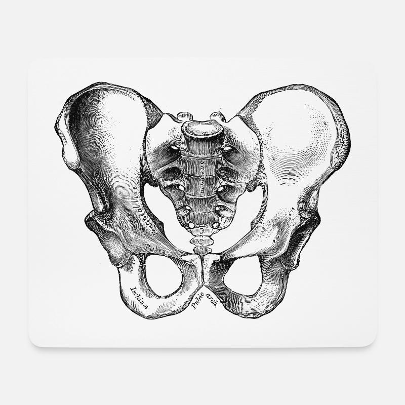 Menschlicher Körper - Becken - Mousepad (Querformat) - Weiß
