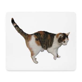 Chat - Tapis de souris (format paysage) - blanc - Devant