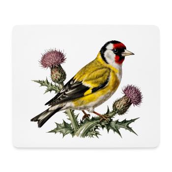 Chardonneret flamboyant sur chardon - Tapis de souris (format paysage) - blanc - Devant