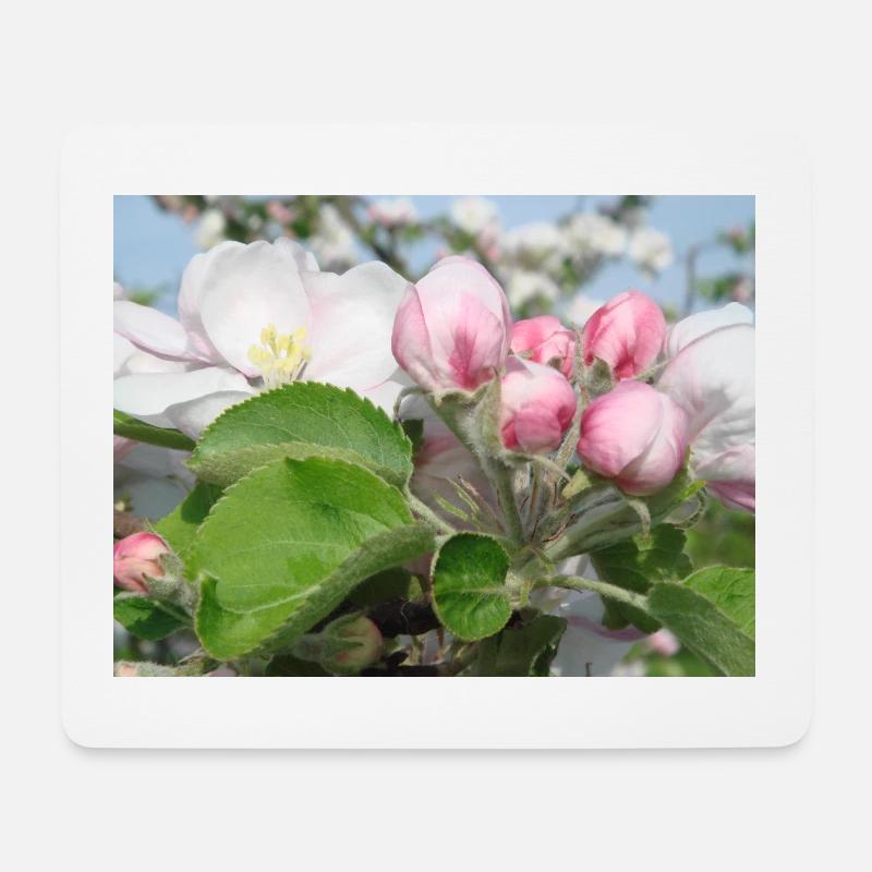 Apfelblüten Zweige Frühling Sommer - Mousepad (Querformat) - Weiß
