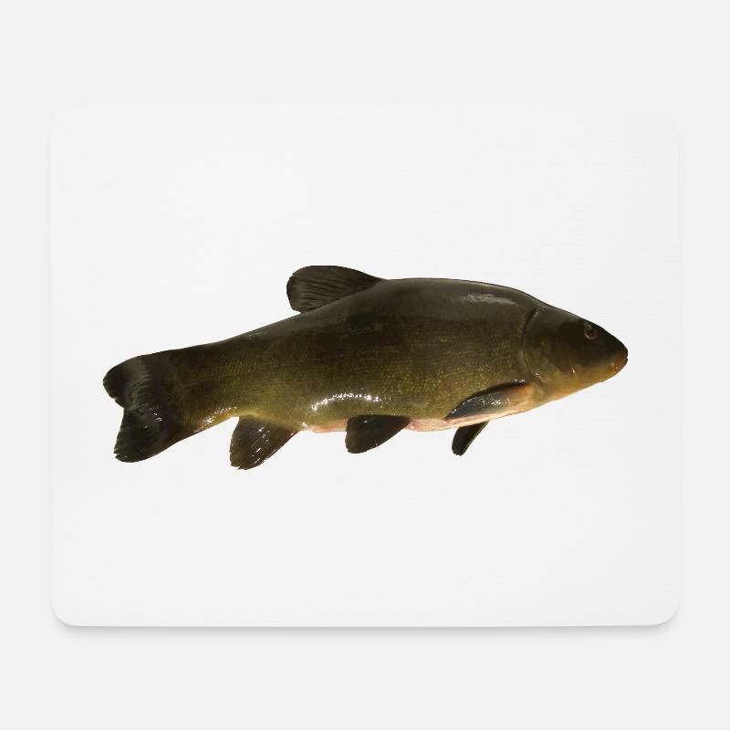 fish tench - Mouse Pad (horizontal) - white