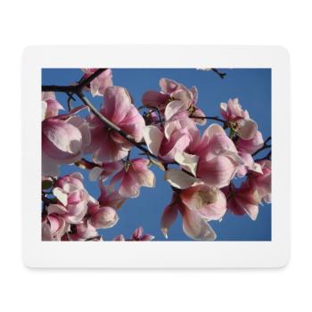 Branches de magnolia rose au printemps - Tapis de souris (format paysage) - blanc - Devant