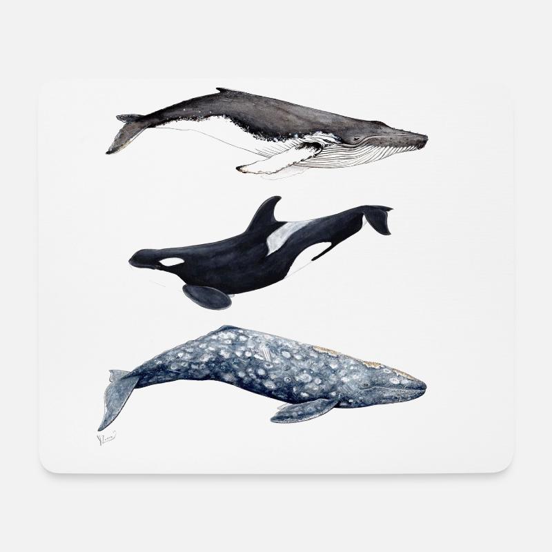 Buckelwal, Schwertwal und Grauwal - Wal - baleine - Mousepad (Querformat) - Weiß