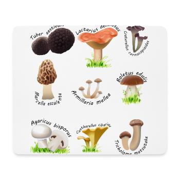 Verschiedene essbare Pilze mit lateinischen Namen - Mousepad (Querformat) - Weiß - Vorne
