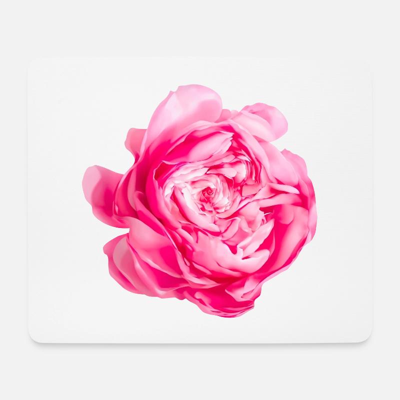 Blume Prinzessin Alexandra von Kent Rose - Mousepad (Querformat) - Weiß