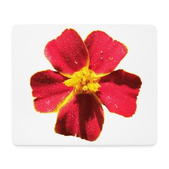 Tagetes - Mousepad (Querformat) - Weiß - Vorne