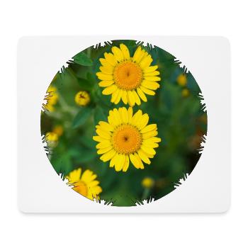Dyer's chamomile (Anthemis tinctoria) - Mouse Pad (horizontal) - white - Front