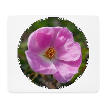 L’églantier est aussi appelée la rose des chiens - Tapis de souris (format paysage) - blanc - Devant