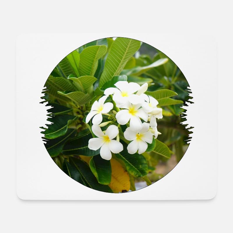 Plumeria ist eine exotische und duftende Blume - Mousepad (Querformat) - Weiß