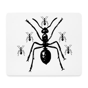 Ameise Insekt Tier Umwelt Natur - Mousepad (Querformat) - Weiß - Vorne