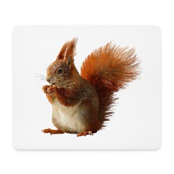 Écureuil - Tapis de souris (format paysage) - blanc - Devant
