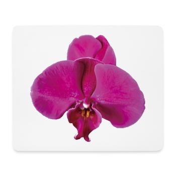 Vivid_Pink_Phalaenopsis_Noth_Orchid_Bloom - Tapis de souris (format paysage) - blanc - Devant