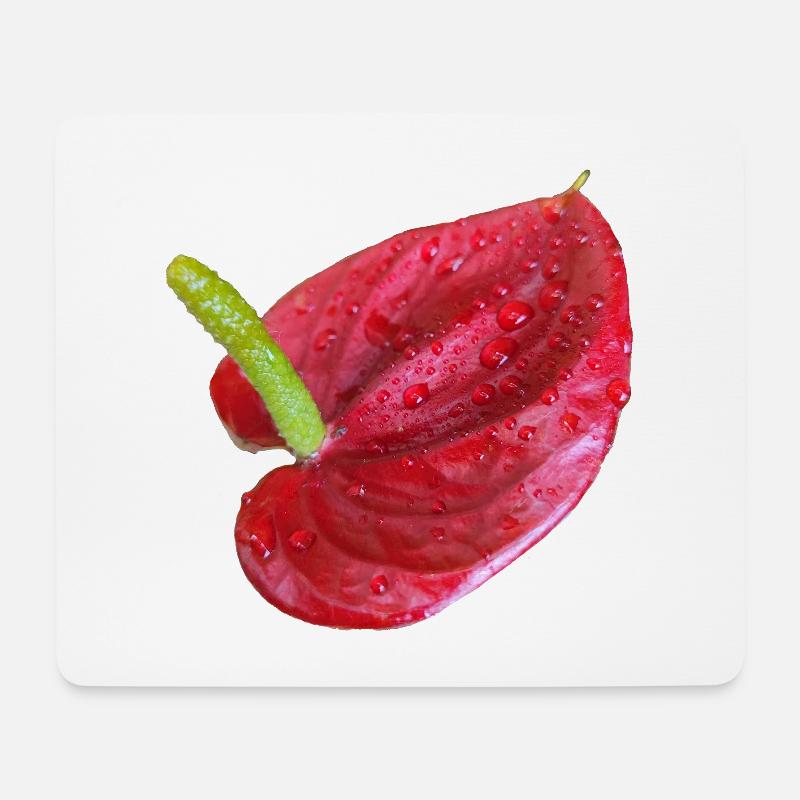 Vibrant_Red_Anthurium_Flower - Mousepad (Querformat) - Weiß