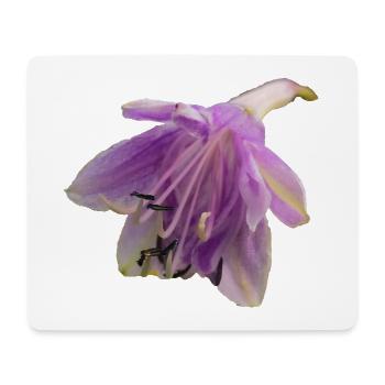 Macro_Purple_Hosta_Bloom - Mouse Pad (horizontal) - white - Front