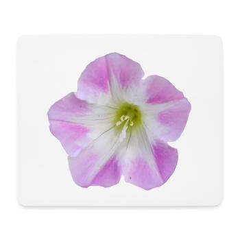 Pink_Field_Bindweed_Morning_Glory_Flower - Tapis de souris (format paysage) - blanc - Devant