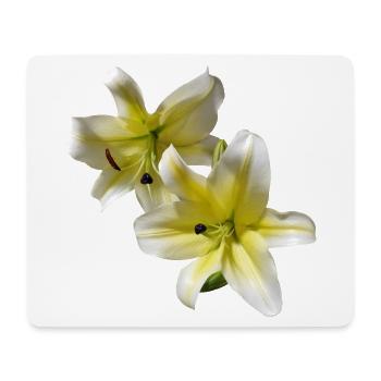 Elegant_Yellow_-_White_Lily_Flower - Tapis de souris (format paysage) - blanc - Devant