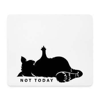Katze Mittelfinger Not Today Nein Katzenliebe Nö - Mousepad (Querformat) - Weiß - Vorne