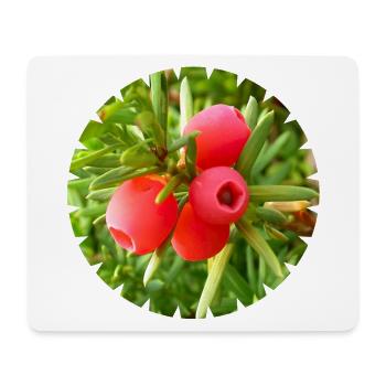 Die Eibe, ein heimischer Nadelbaum - Mousepad (Querformat) - Weiß - Vorne