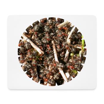 Waldameisen sind wichtige Waldbewohner - Mousepad (Querformat) - Weiß - Vorne