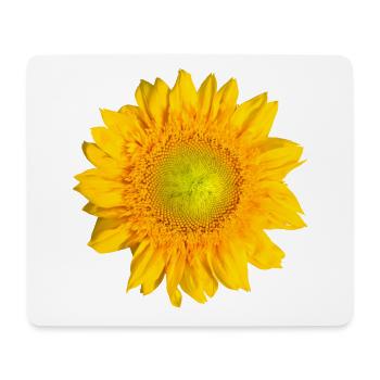 Sonnenblume Sonnenblumenblüte Blume floral blumig - Mousepad (Querformat) - Weiß - Vorne