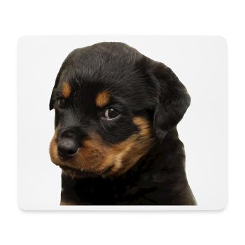 Niedlicher Rottweiler Welpe mit großen Augen - Mousepad (Querformat) - Weiß - Vorne