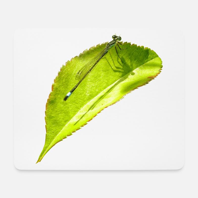 Eine Libelle ruht sich auf einem Blatt aus - Mousepad (Querformat) - Weiß