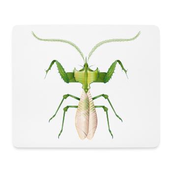 Tropisches Insekt in Grün – filigrane Teufelsblume - Mousepad (Querformat) - Weiß - Vorne