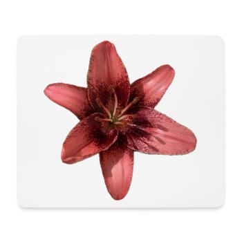 Design élégant de pétales de lys rose - Tapis de souris (format paysage) - blanc - Devant