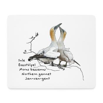 Basstölpel - Morus bassanus - Mousepad (Querformat) - Weiß - Vorne