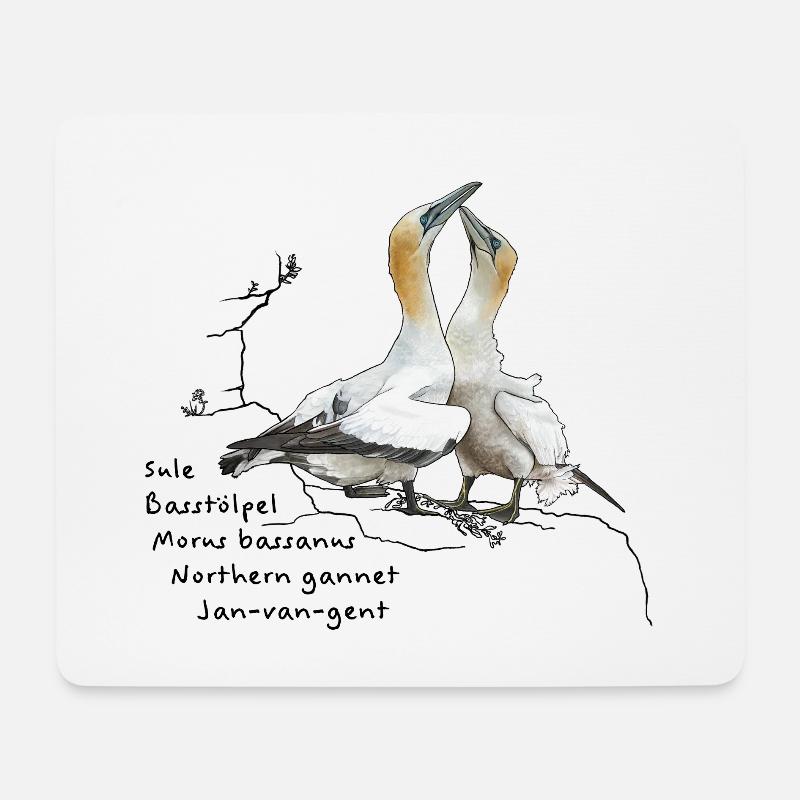 Basstölpel - Morus bassanus - Tapis de souris (format paysage) - blanc