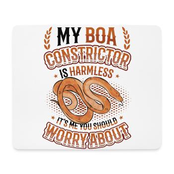 Ich Bin Es, Um Den Sie Sich Sorgen Machen Sollten. - Mousepad (Querformat) - Weiß - Vorne