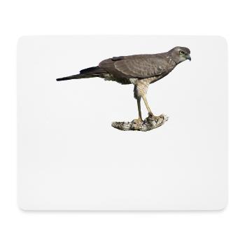 Singhabicht - Raubvogel in Afrika - Vorgel - Mousepad (Querformat) - Weiß - Vorne