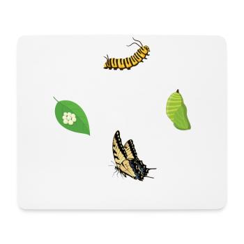 Tiger Swallowtails Butterflies Tiger - Mouse Pad (horizontal) - white - Front