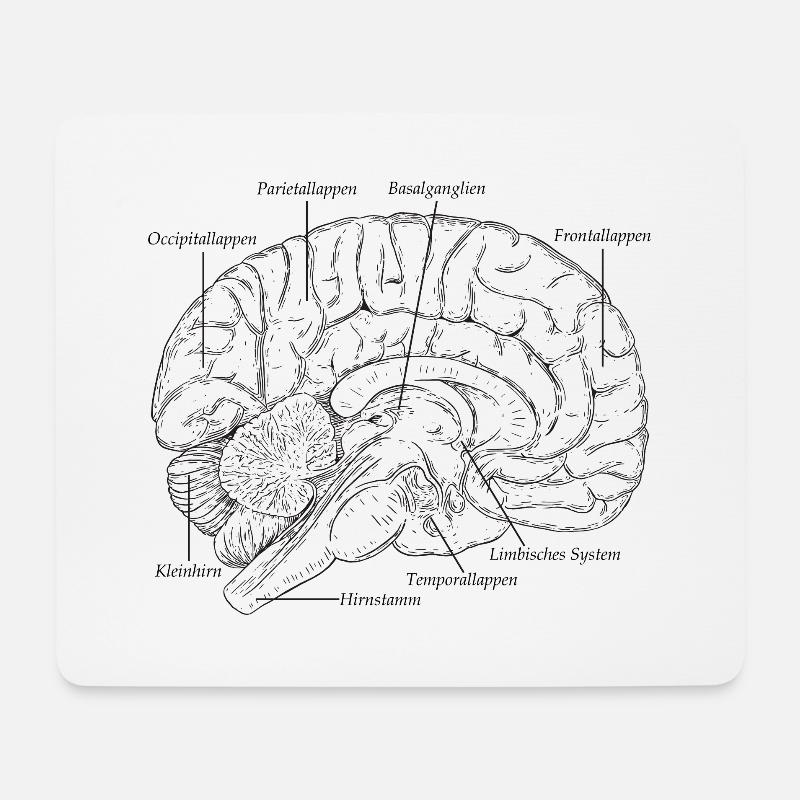 Die Anatomie des Gehirns vom Mensch - Mousepad (Querformat) - Weiß