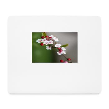 Cherries - Mouse Pad (horizontal) - white - Front
