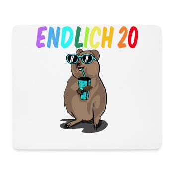 20 Geburtstag Fun Geschenk lustig 20. Ehrentag - Mousepad (Querformat) - Weiß - Vorne