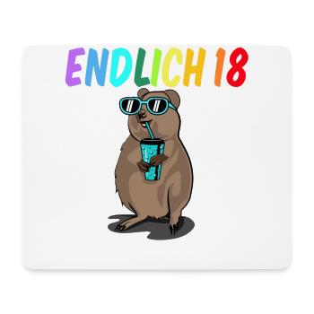 18 Geburtstag Fun Geschenk lustig 18. Ehrentag - Mousepad (Querformat) - Weiß - Vorne
