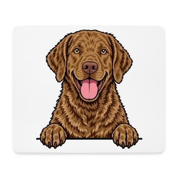 Chesapeake Bay Retriever - Mousepad (Querformat) - Weiß - Vorne