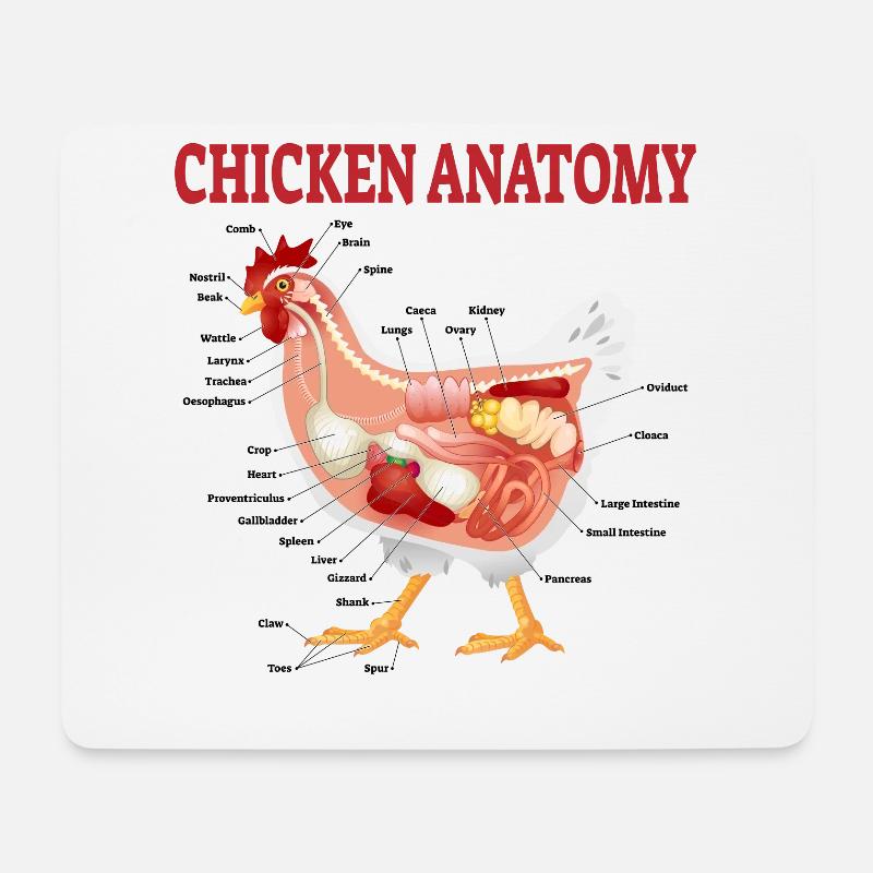 Hühner Anatomie Lustiges Geschenk Hühnerzüchter - Mousepad (Querformat) - Weiß