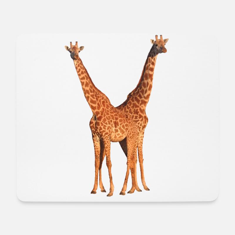 Maasai Giraffen - Giraffe - Wildtiere in Afrika - Mousepad (Querformat) - Weiß