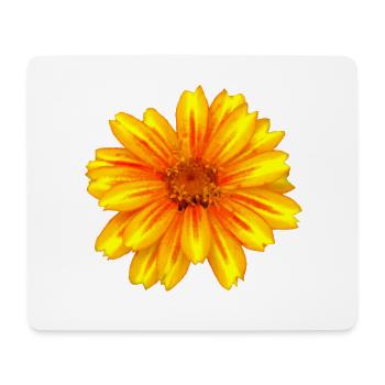 wundervolle gelb rote Blume, Blüte, Natur, Garten - Mousepad (Querformat) - Weiß - Vorne