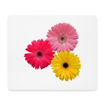 bunte blühende Gerbera Blumen, Gerberas, Blüten, - Mousepad (Querformat) - Weiß - Vorne