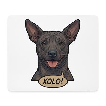 Xoloitzcuintli Dog Retro Vintage Comic Design - Mouse Pad (horizontal) - white - Front