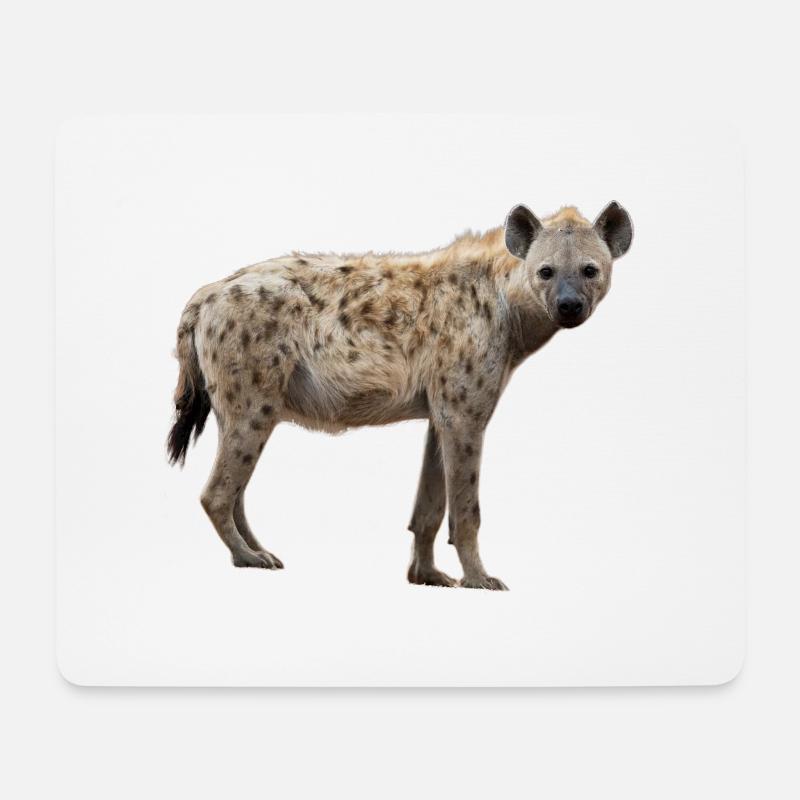 Hyäne Afrika Safari Tierliebhaber - Mousepad (Querformat) - Weiß