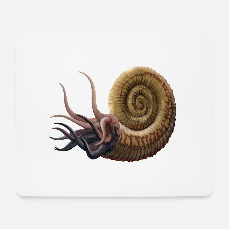 Ammoniten - Mousepad (Querformat) - Weiß